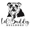 Lil'Buddy Bulldogs