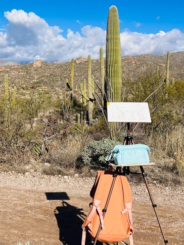plein air watercolor in Tucson with easel large saguaro cactus