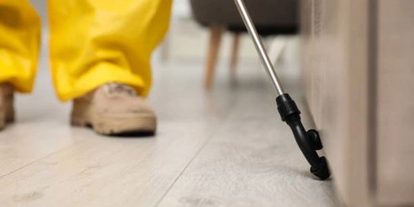 Pest control worker spraying insecticide indoors.