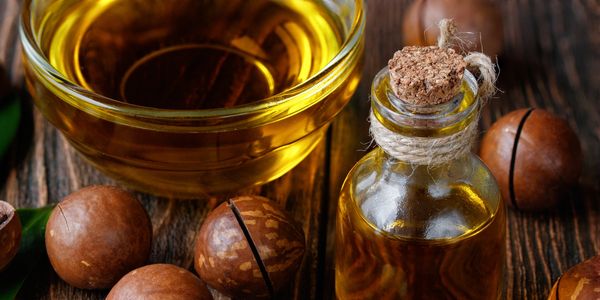 Organic cold-pressed Macadamia nut oil and dried Macadamia nuts displayed on wood table