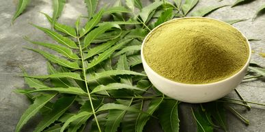 Organic Neem leaf powder displayed with fresh Neem leaves on a stone table