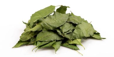 Dried Neem leaves 