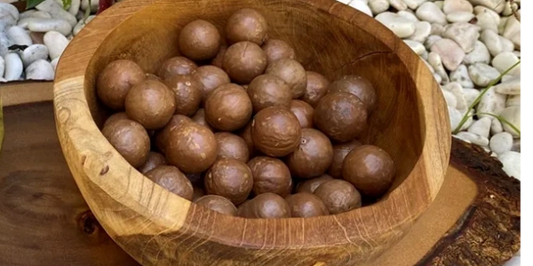 Organic dried Macadamia nuts displayed in a wooden bowl