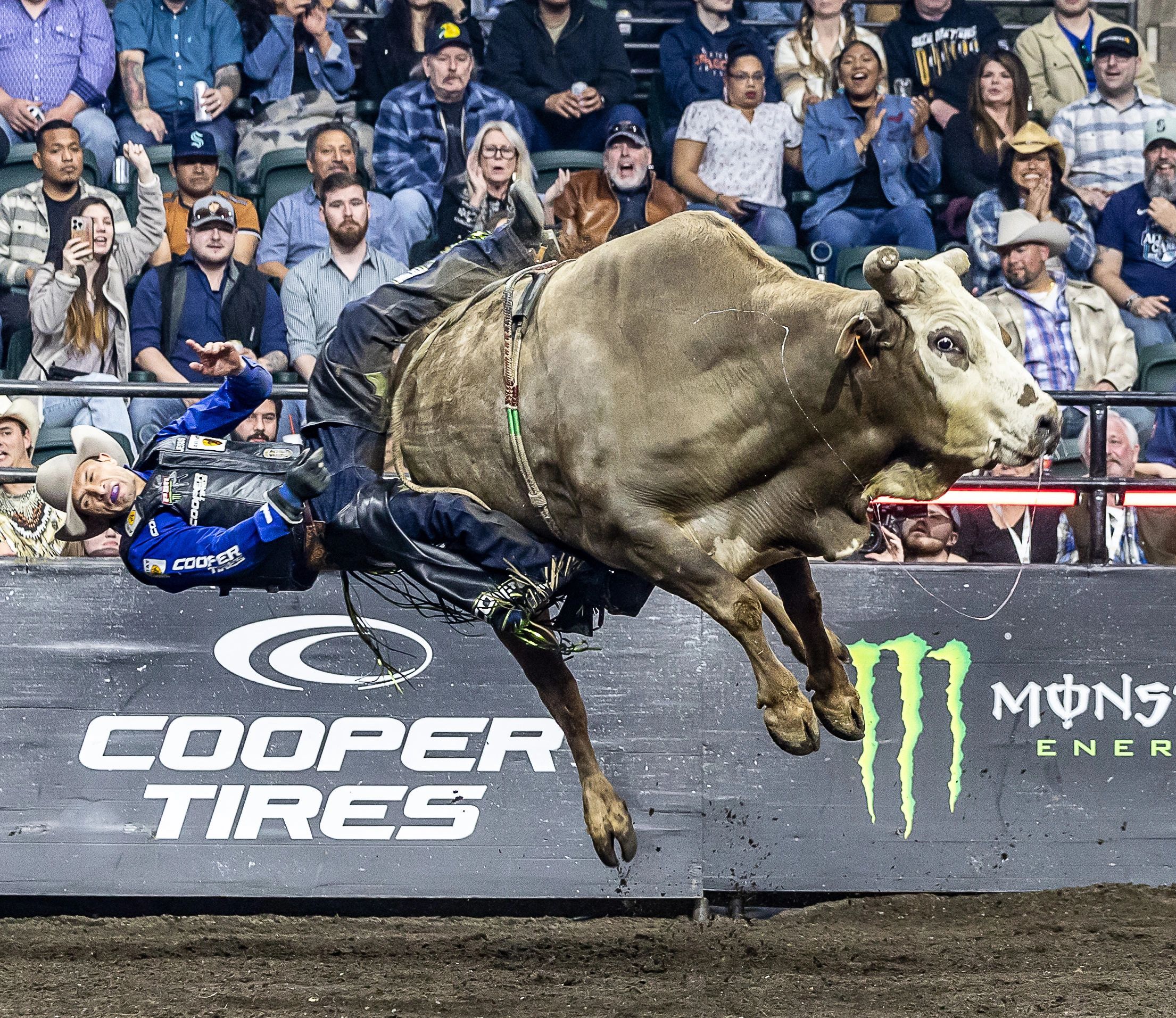 A Professional Bull Rider hangs on for 7.8 of the needed 8 second ride at a PBR event in Everett, Wa