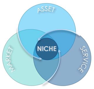 Niche Strategy: Market, Asset Service
