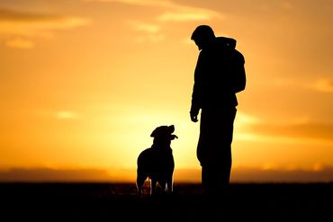 Man and his dog silhoueted against a beautiful  orange sunset. Simon White Photography
