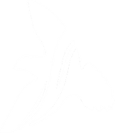 Dove Creek Ministries