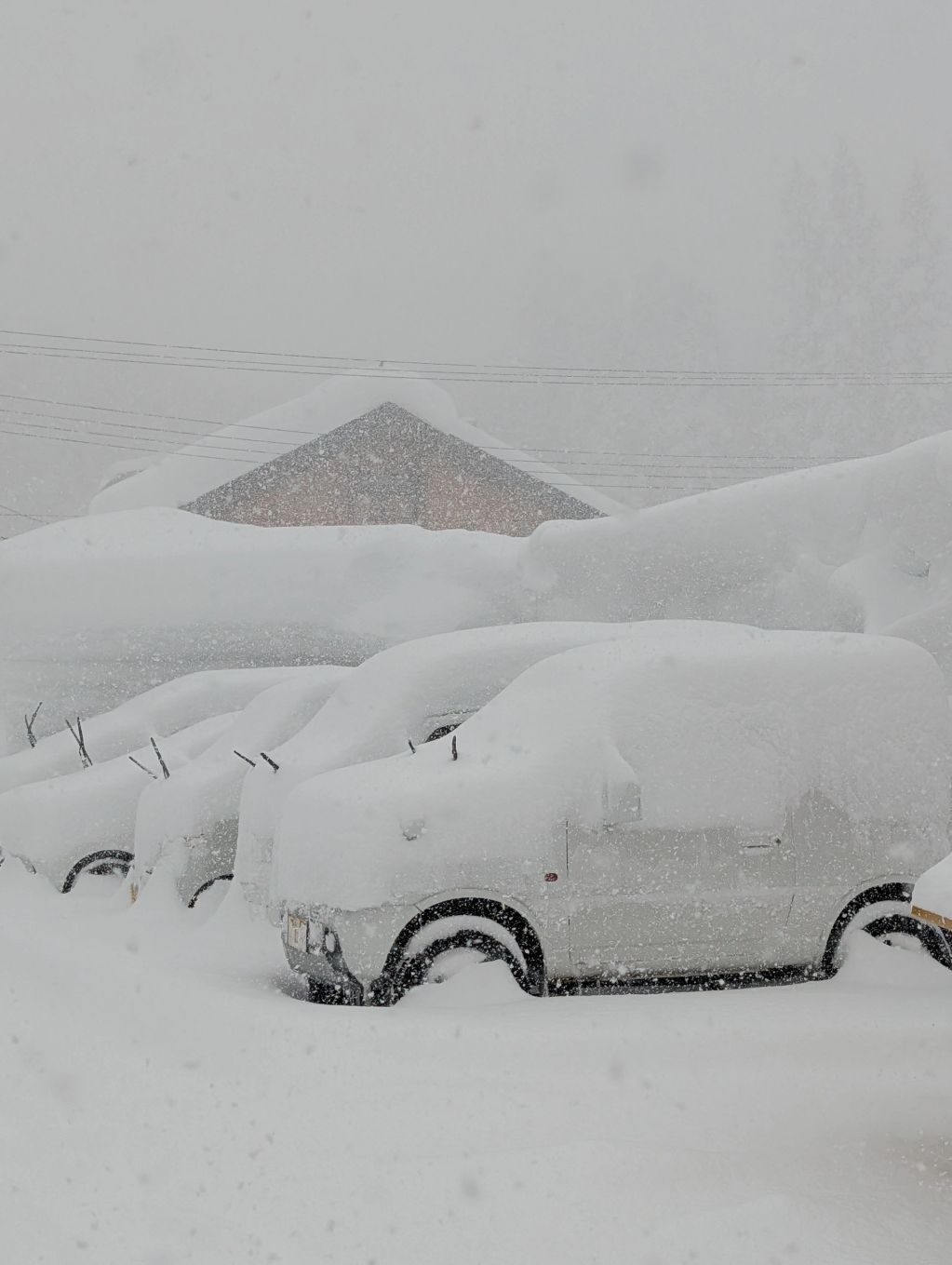 Cars buried in deep snow after a Tohoku storm