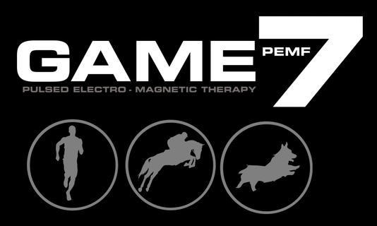 What Is Pemf Game 7 Pemf