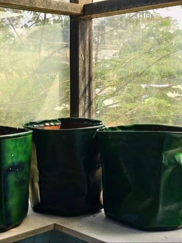 Three green grow bags placed on a window ledge with sunlight and trees outside.