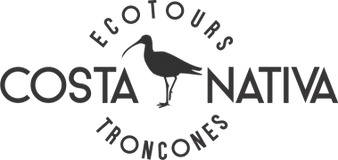 3169459000007208045gc