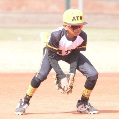 Young baseball player in ready stance.