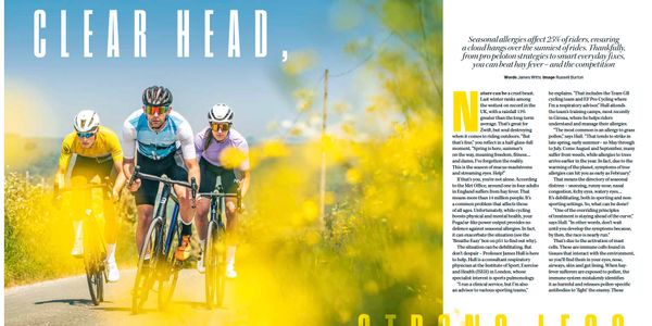 Cyclists ride through a sunny, yellow-flowered landscape under a clear blue sky.