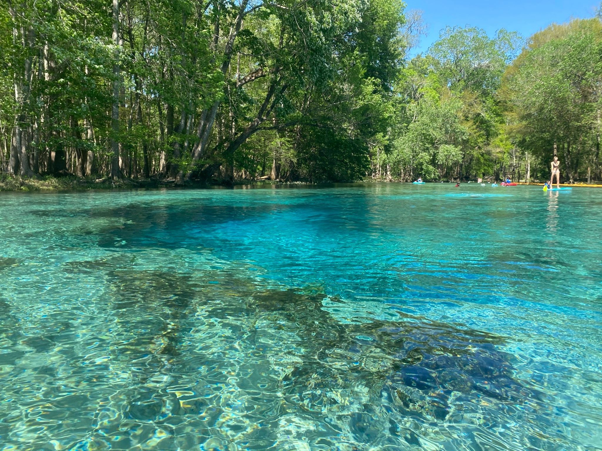 21 Breathtaking Natural Springs In Florida - Beyond The Tent