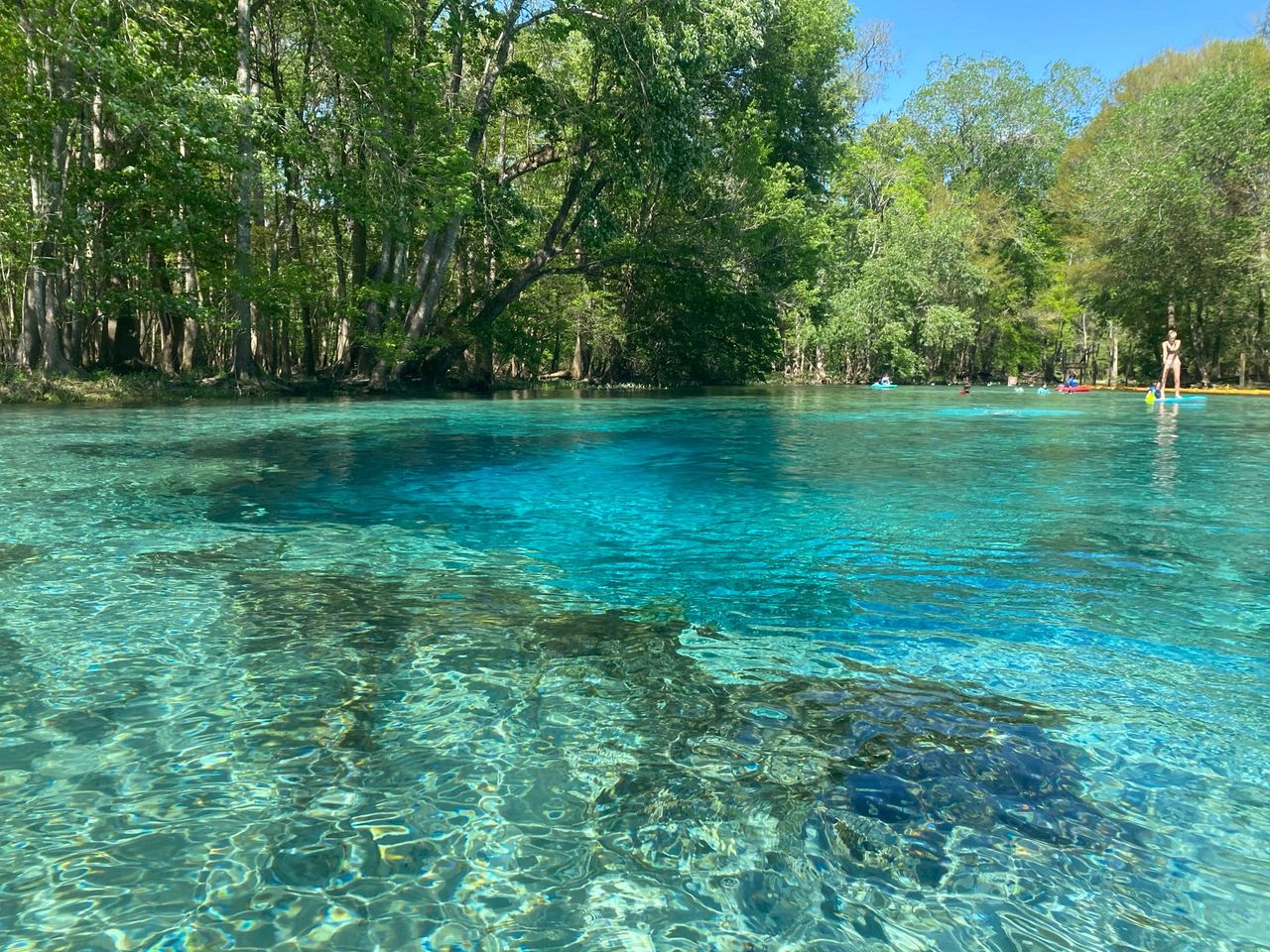 Blue Spring State Park