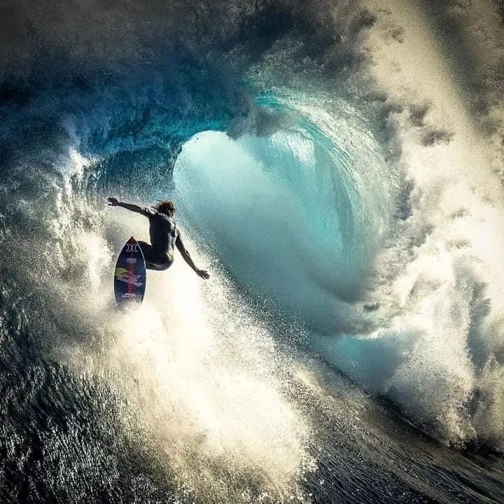 About | Shred Surfing Magazine,LLC