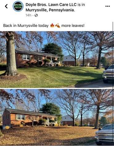Leaf clean up in Murrysville, PA 15668