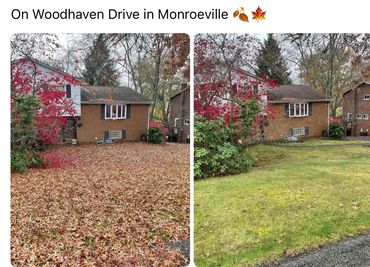 Leaf clean up on Woodhaven Drive, Monroeville, Pa 15146