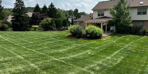 Lawn Care in Murrysville
