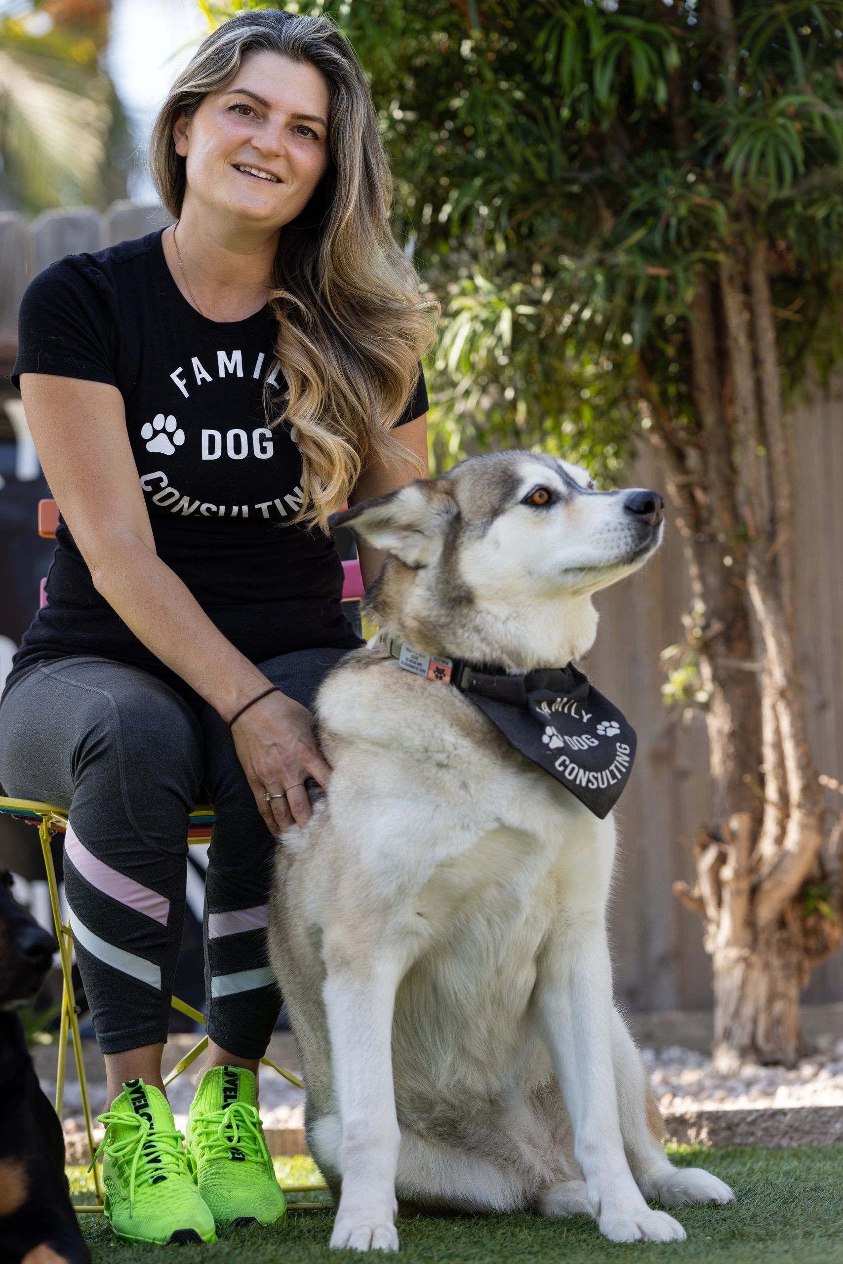 Dog Behavior Consultant: Expert Tips to Transform Your Dog's Actions