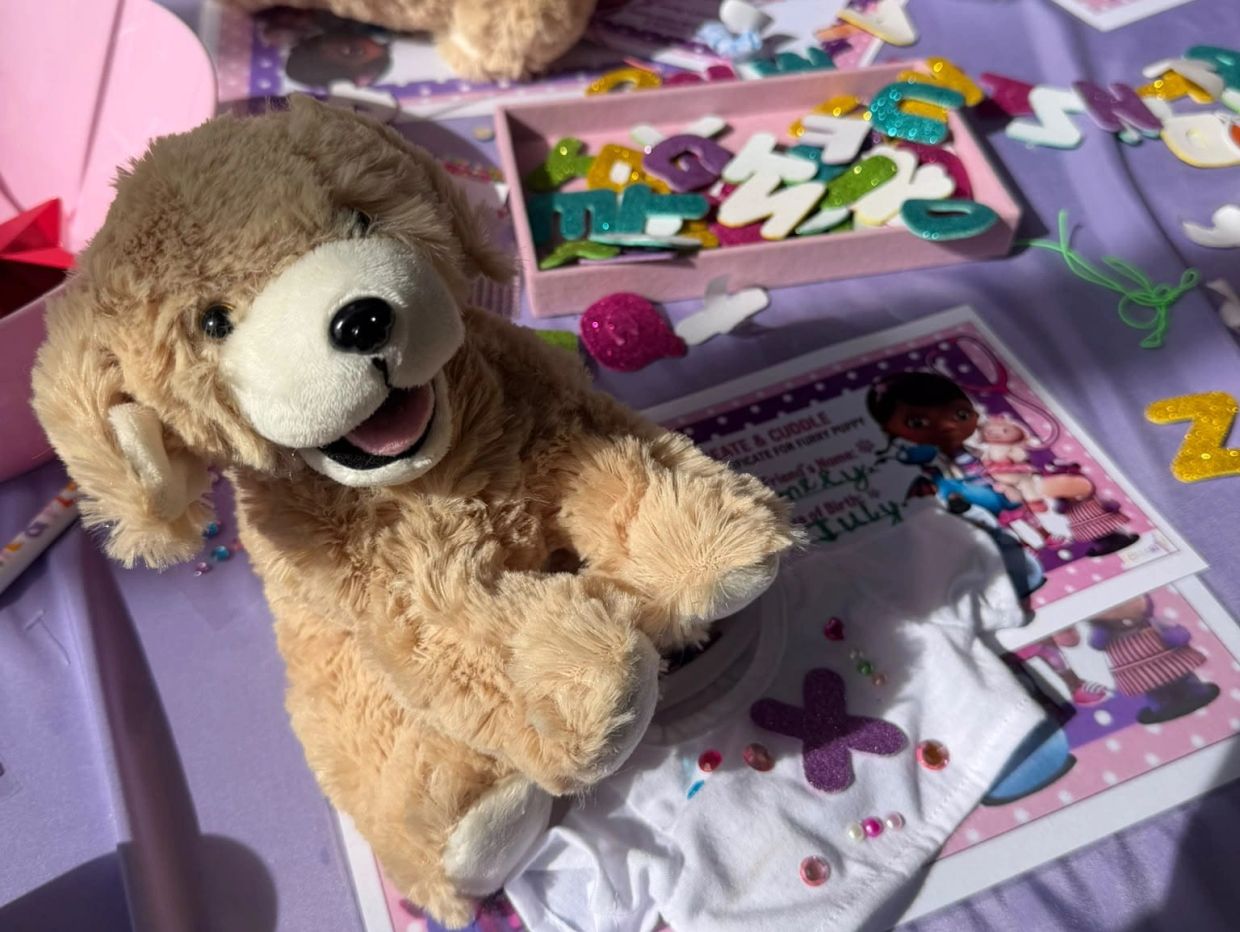 A cute plush dog with crafting supplies and a decorated white shirt.