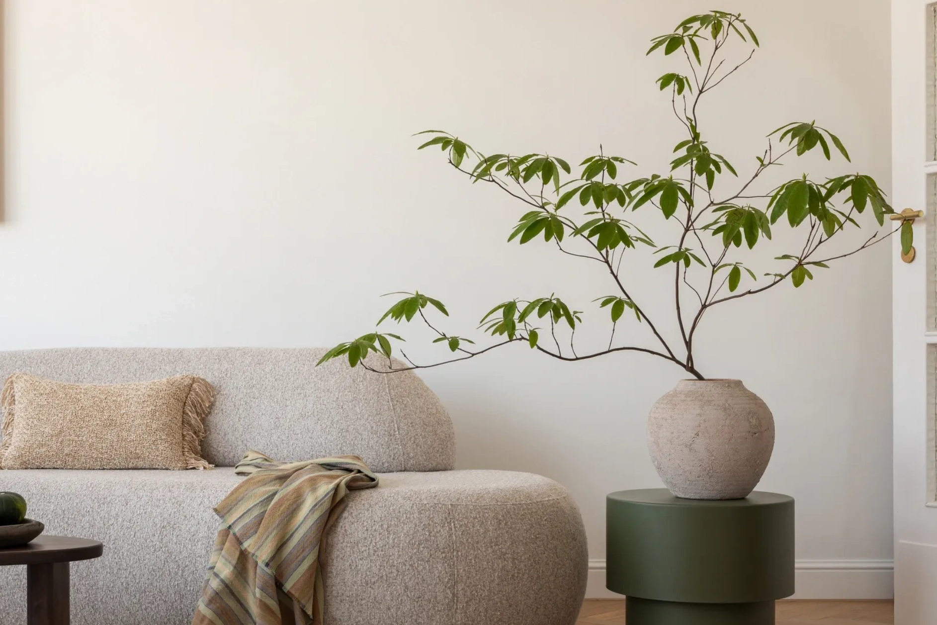 Minimalist living room with neutral tones and a leafy plant in a rustic vase.