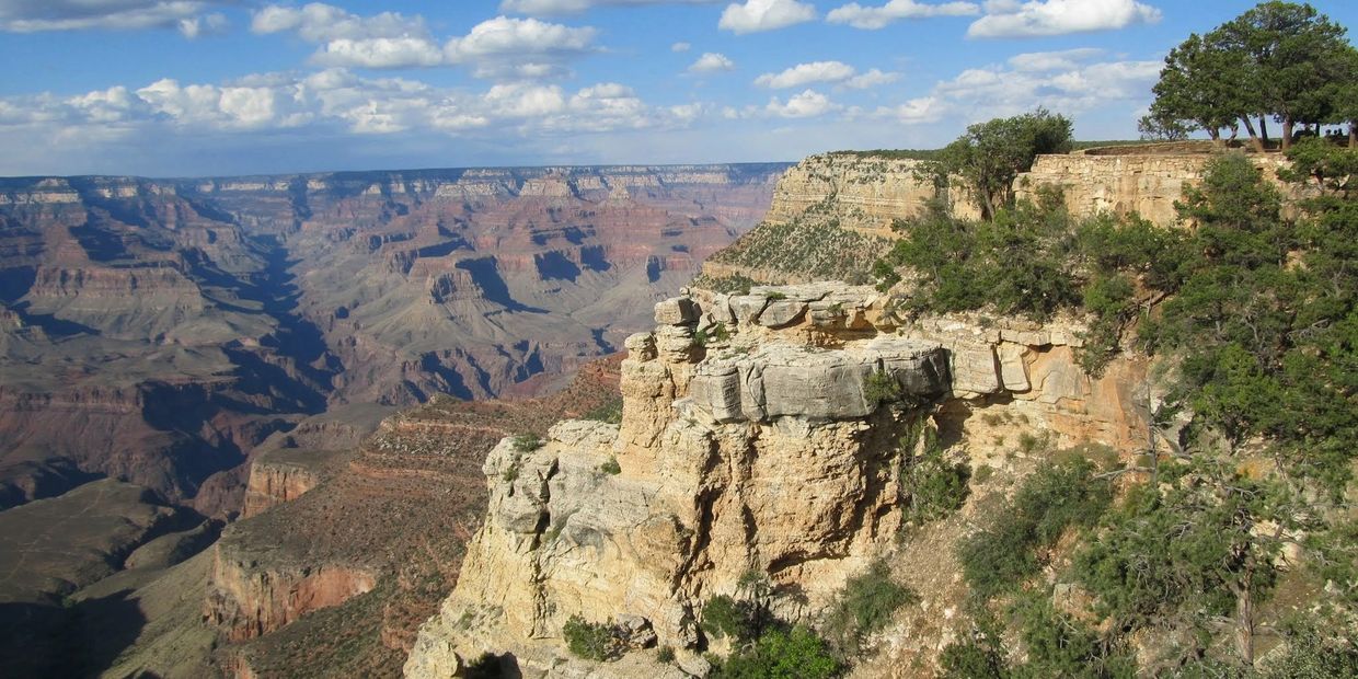 Volunteer - Arizona Master Naturalist Association