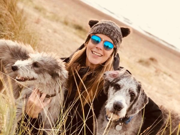 Dog sitter hugging two dogs on a field