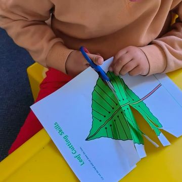 fine motor skills, visual perception cutting