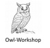 Owl Workshop