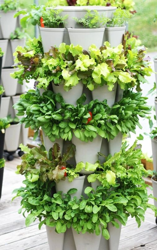 GreenStalk Vertical Planter