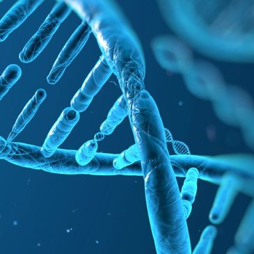 Close-up of a blue DNA double helix structure.