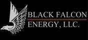 Black Falcon Energy, L.L.C.