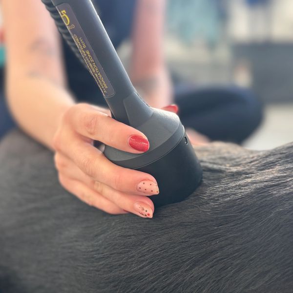 Person using a handheld device on a dog's fur.