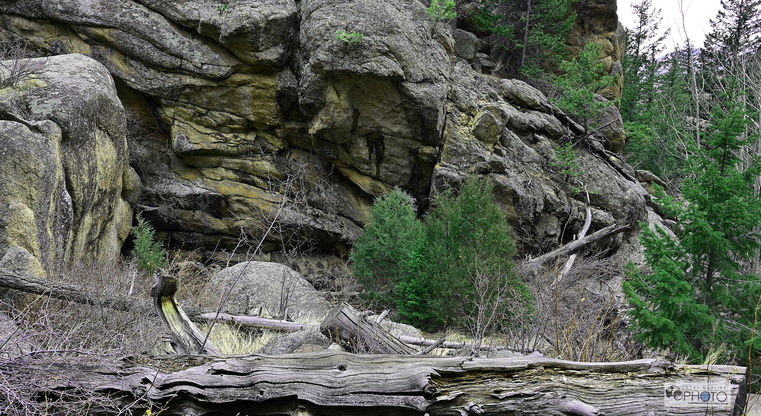 Deadwood and Rock Layers Lumpy Ridge Trailhead CO