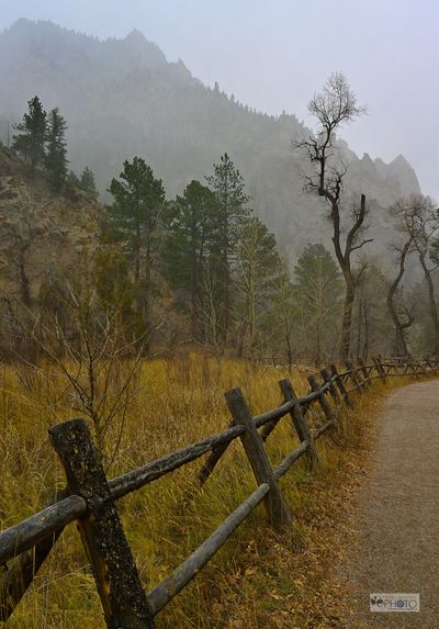 Fence and Tree at Eldorado Canyon CO