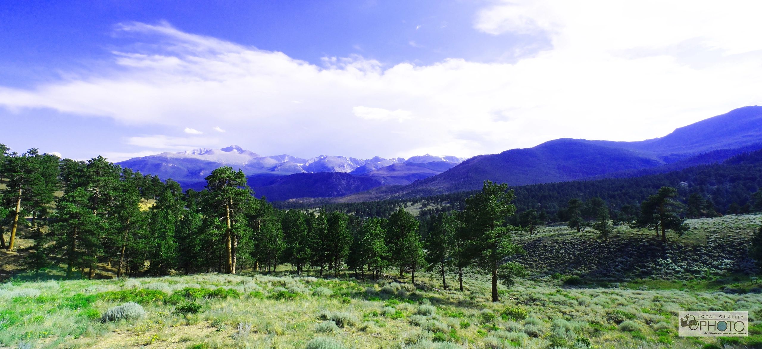 Rocky Mountains and Foliage RMNP Panorama