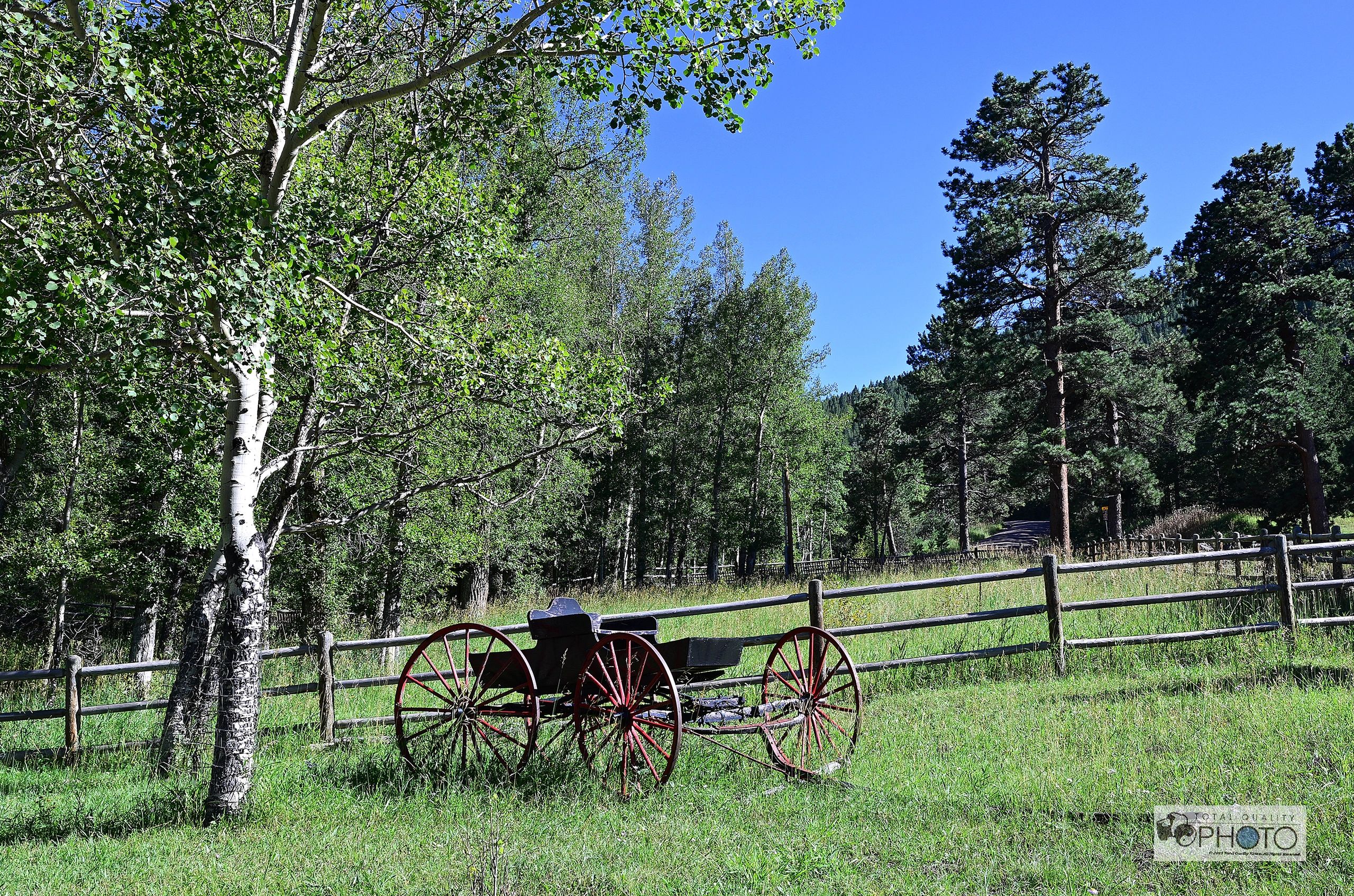 Wagon and Aspen Estes Park CO