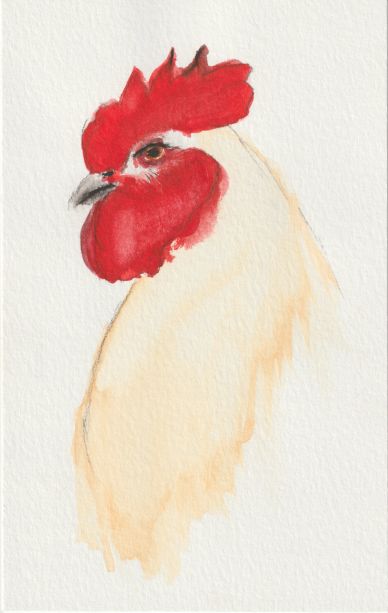 Watercolor painting of a rooster.