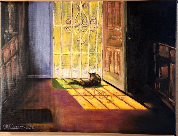 Cat basking in sunlight coming through a door.