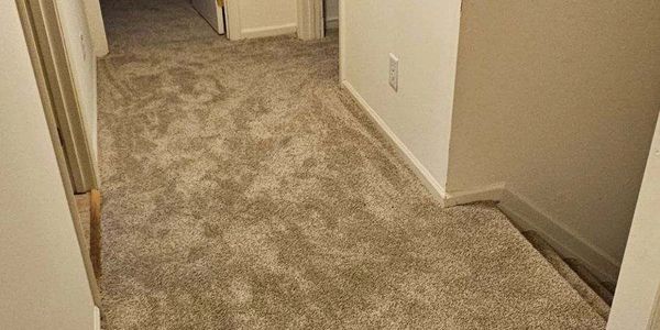 Carpeted hallway with a staircase on the right side.