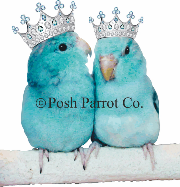 Parrolets Small Posh Parrot Co. Toys for parrots