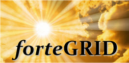 forteGRID