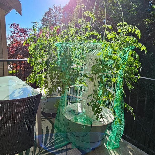 2 vertical growing system towers on a balcony