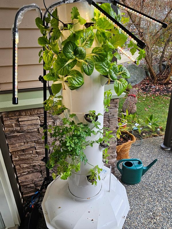 Vertical growing system tower