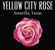 Yellow City Rose