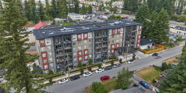 Modern apartment building with parked cars on a tree-lined street.