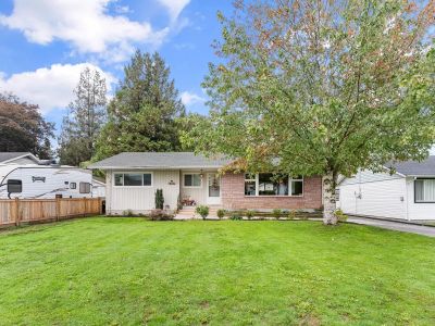 Single-story house with large green lawn and tree.