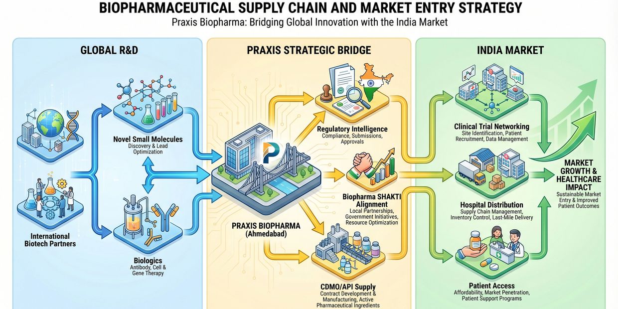 Illustration of biopharmaceutical supply chain and market entry strategy bridging global R&amp;D and India market.
