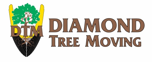 diamondtreemoving.com